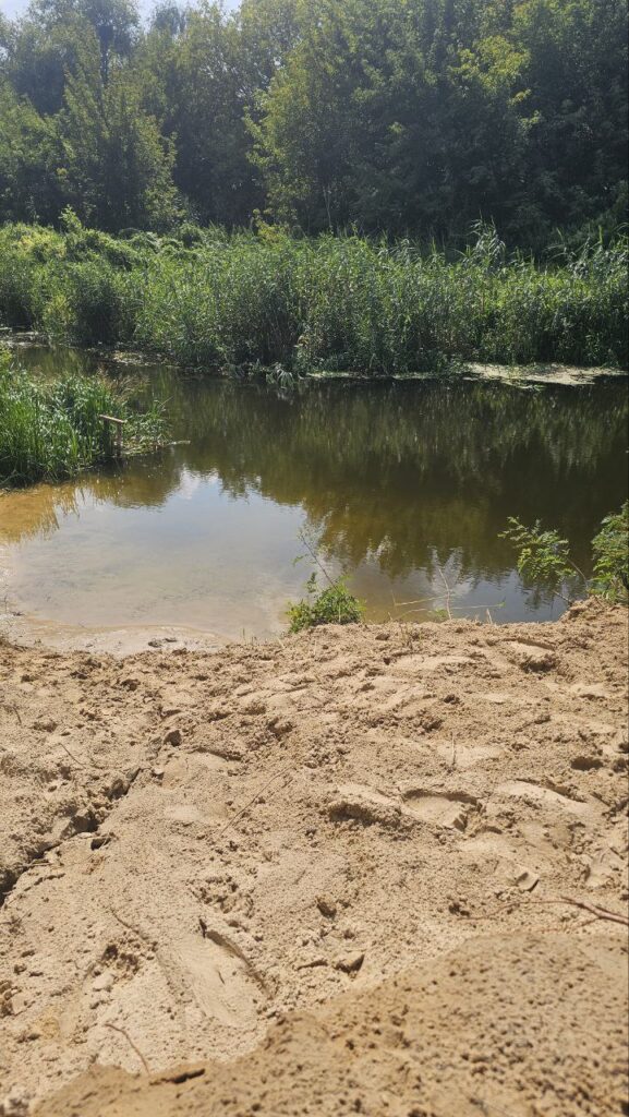 Піщаний берег